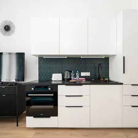 Polesie Studio With Mezzanine Apartment